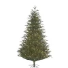 Baum Frasier Fir Mit Led Beleuchtung, 215 Cm
