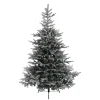 Baum Grandis Fir Beschneit, 150 Cm