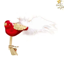 Glasvogel Rot
