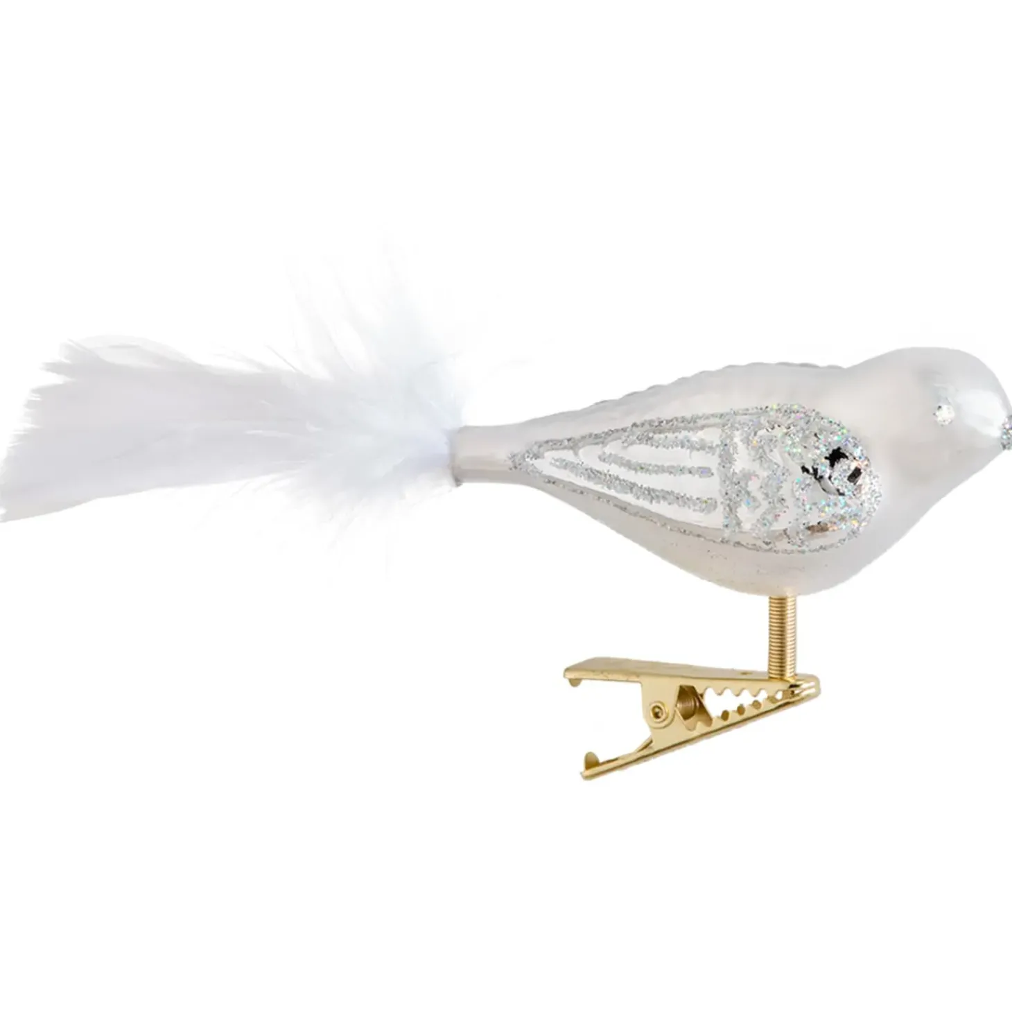 Glasvogel Weis-Silber