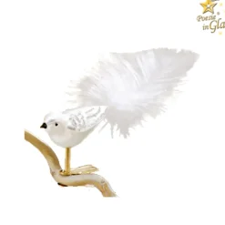 Glasvogel Weis-Silber
