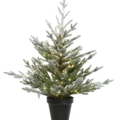 Weihnachtsbaum Im Topf, Mit Led Beleuchtung, 75 Cm